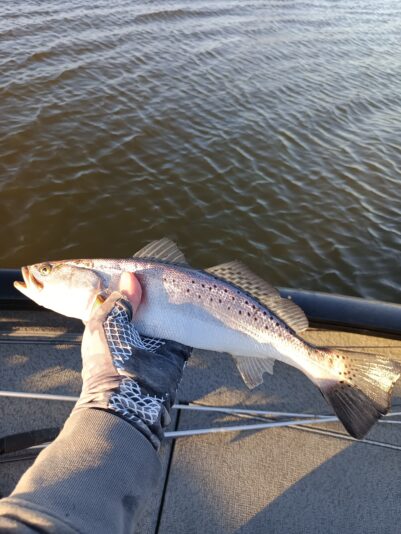 IMG_20260302_170806_637