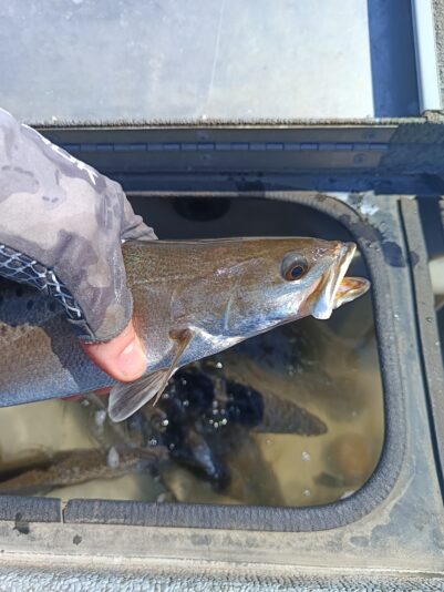 IMG_20260302_131816_728