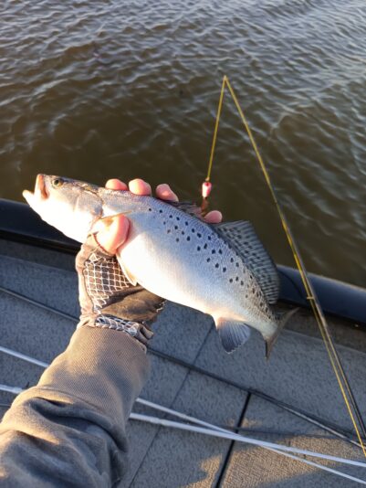 IMG_20260302_172108_490