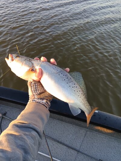 IMG_20260302_173553_871