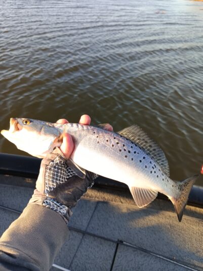 IMG_20260302_171326_535