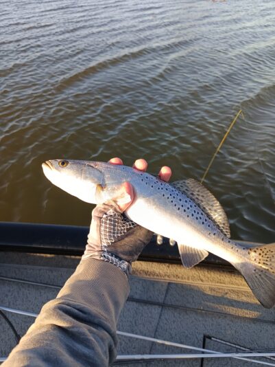 IMG_20260302_171155_050