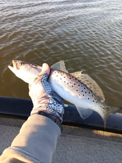 IMG_20260302_171720_181