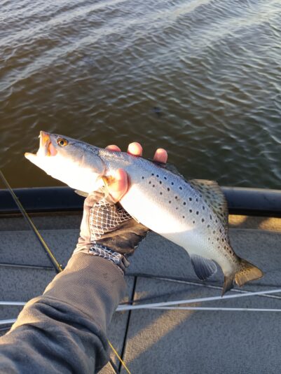 IMG_20260302_171957_504