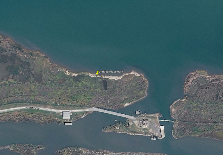 Screenshot_2026-03-11_10-00-40