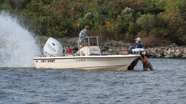 bb-media-photos-popup-image