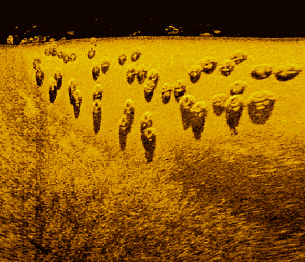 artificial-reefs-in-louisiana-reef-balls