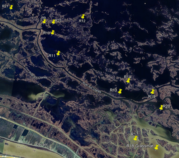 Screenshot 2025-10-29 135405