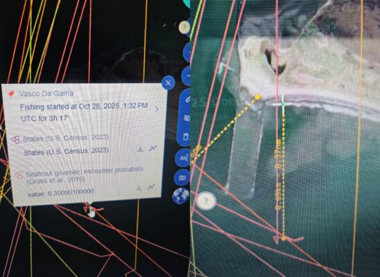 PhotoGrid_Site_1762387503081