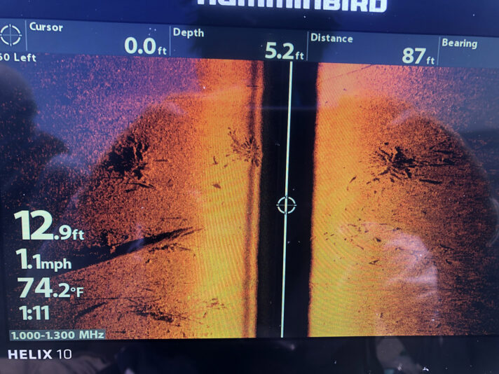 cypress-stumps-on-side-imaging-sonar-at-comfort-island