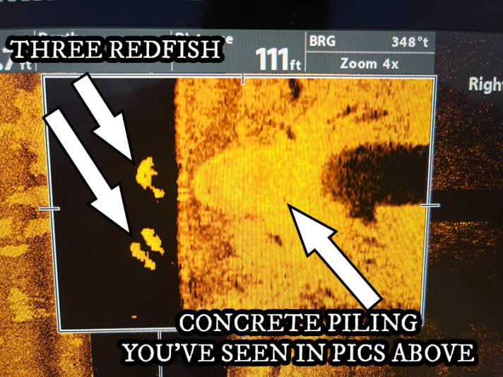 Redfish-on-MEGA-Imaging-Humminbird-Sonar