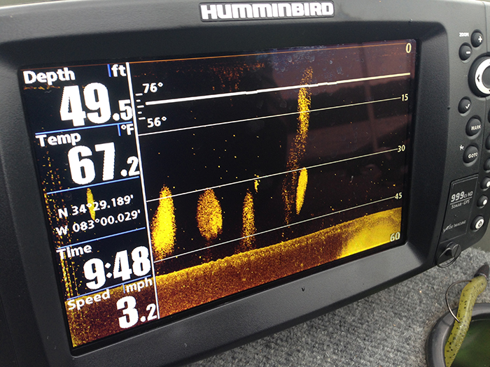 Humminbird-Side-Imaging-Sonar bait balls