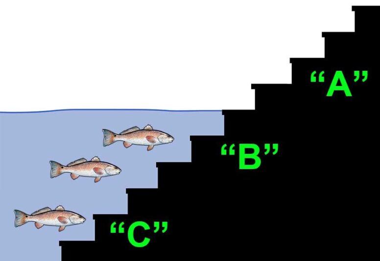 Water-Level-B