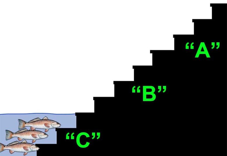 Water-Level-C
