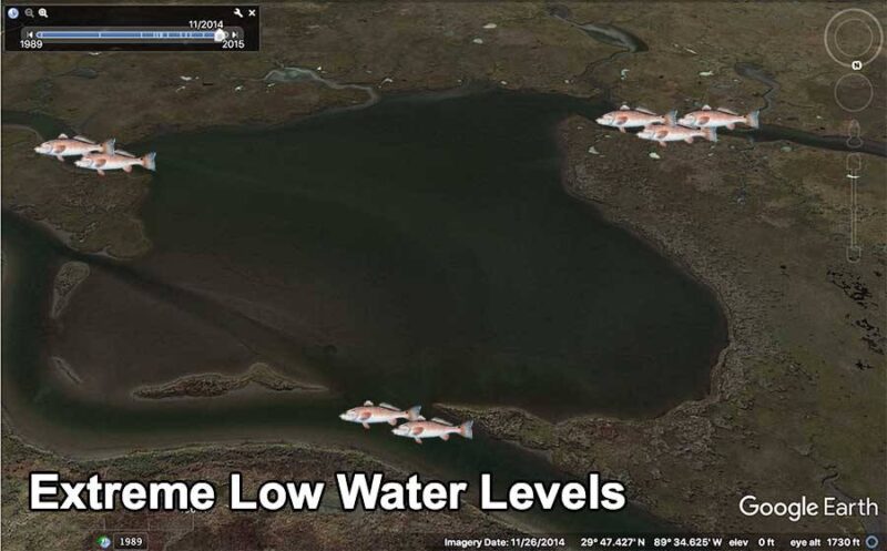 Extreme-Low-Water-Levels-Redfish
