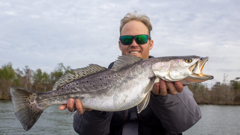 where-speckled-trout-feed-during-winter-blog-cover-photo-no-text