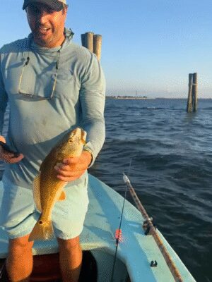 Messenger_creation_FE4418AD-CA9D-49AC-8265-04CF4B080CD0