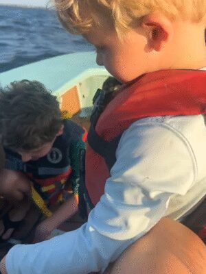 Messenger_creation_237224B3-D8FA-4437-976D-F43AD3967B4E