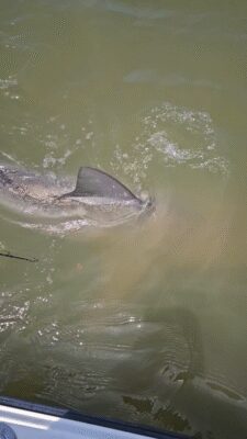 YouCut_20250523_172756516