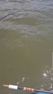 Screen_Recording_20250630_093151_Facebook