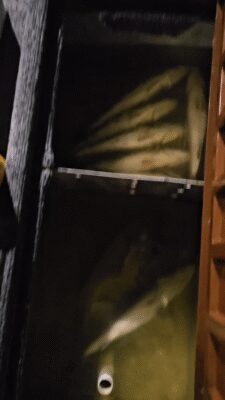 YouCut_20250704_071758923