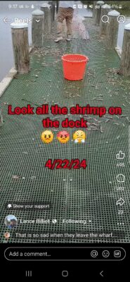 Screen_Recording_20250423_211755_Facebook