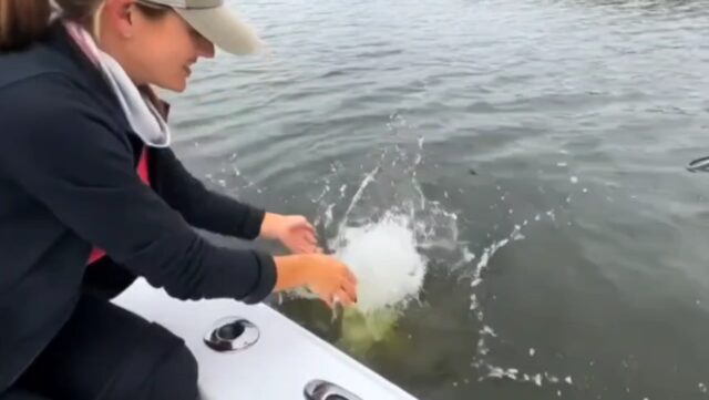 YouCut_20260131_082846970