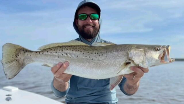 YouCut_20260129_023354492