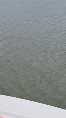 20260501_090717