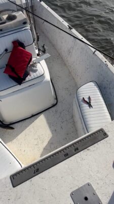 boatflip
