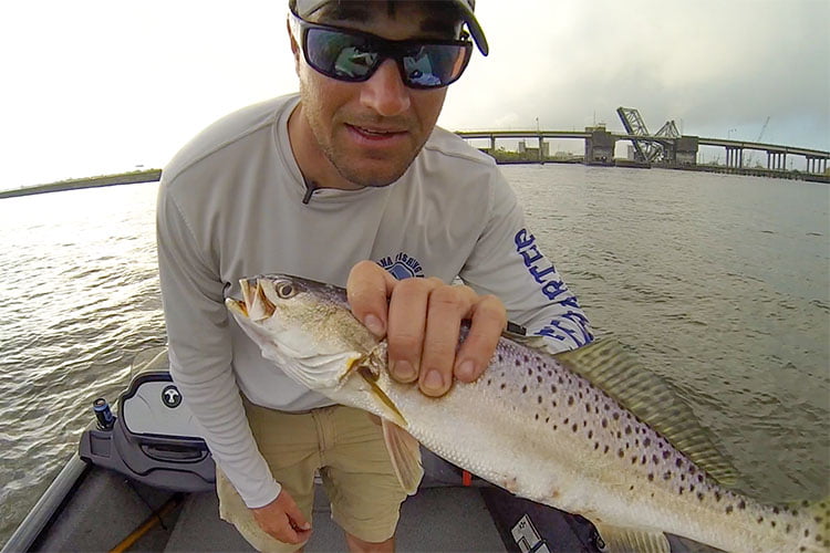 10/16/18 Seabrook Specks