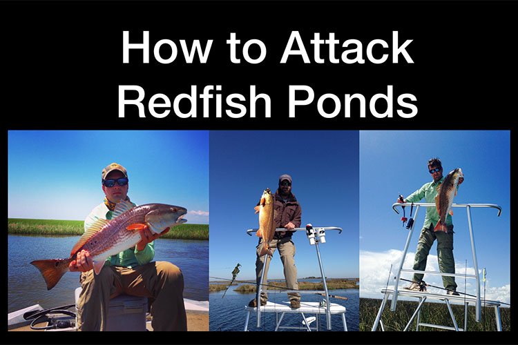 How to Attack Redfish Ponds in Louisiana