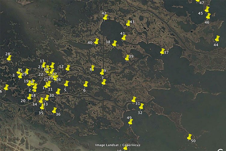 Breaking Down New Marsh to Locate Productive Water