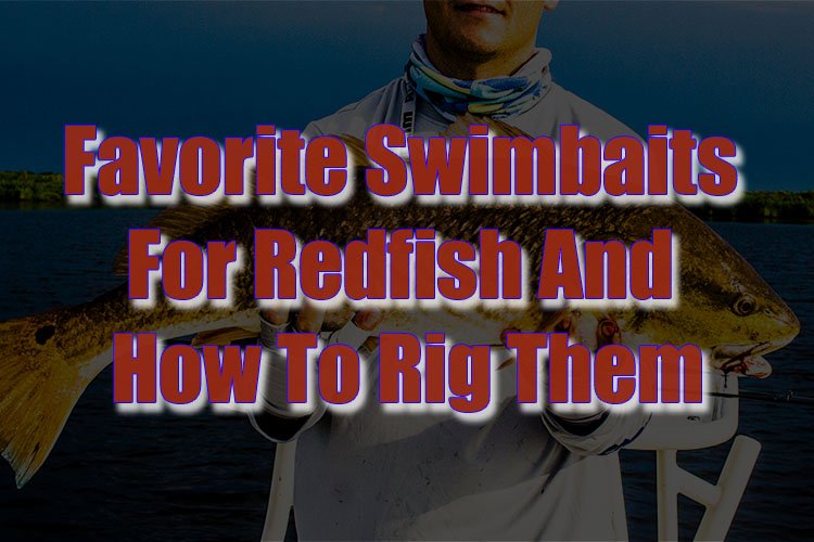 Favorite Swimbaits For Redfish & How To Rig Them