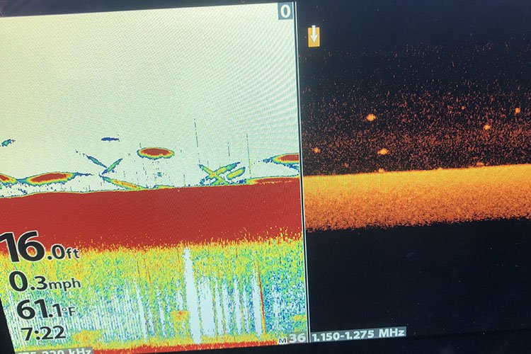 Using Sonar to Catch More Speckled Trout and Redfish