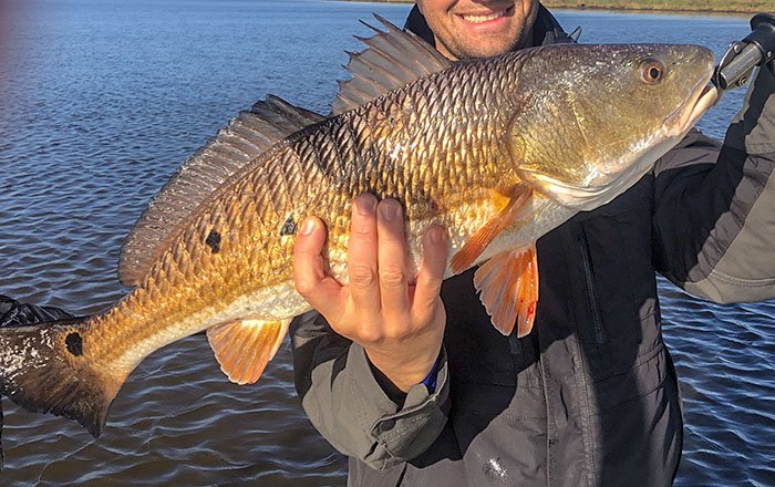 How to Locate Great Winter Redfish Spots (Completely From Scratch)