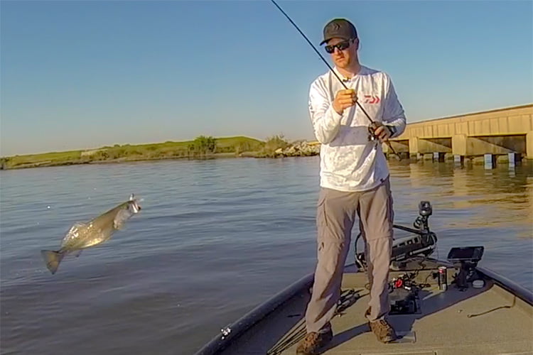 4/10/19 Lake Pontchartrain Specks