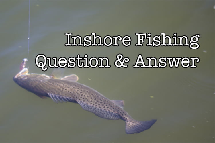 Inshore Fishing Question & Answer LAFB Elite