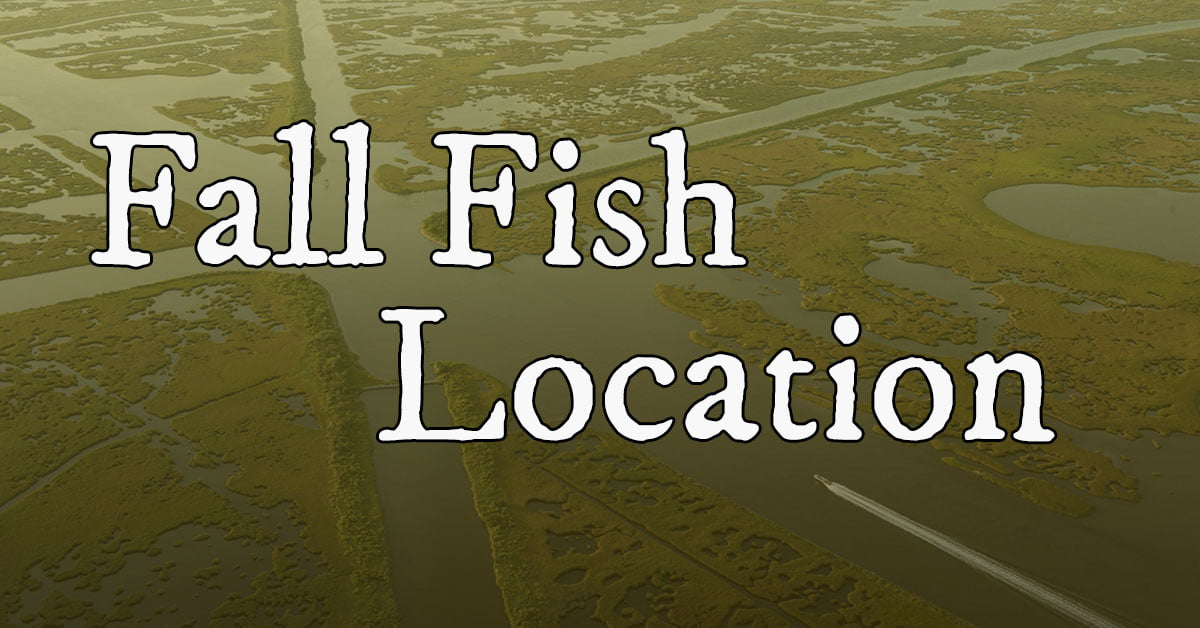 Fall Fish Location: How To Find Specks & Reds During Fall