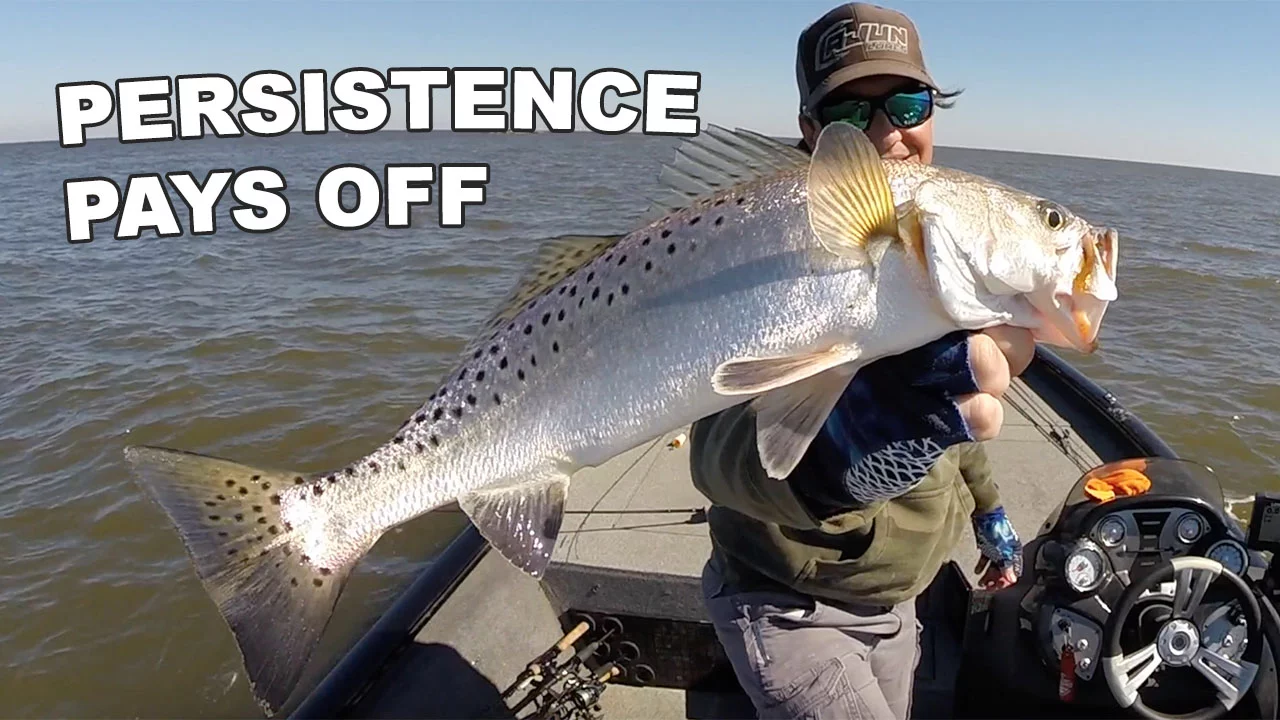 11-4-20 hopedale speckled trout