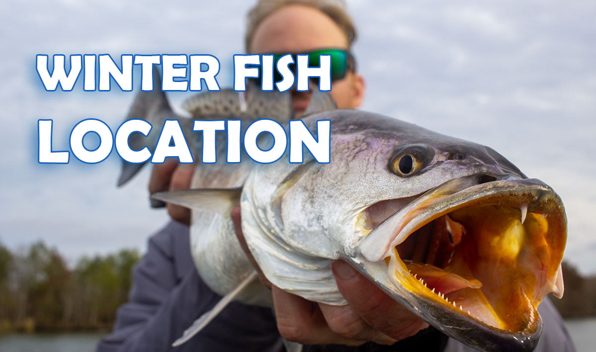 How To Find & Catch Speckled Trout & Redfish During Winter