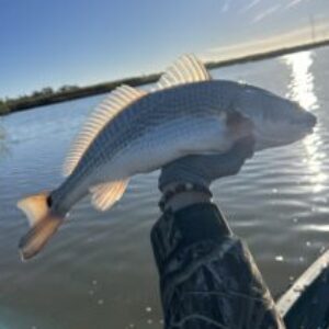 Profile photo of david-fish