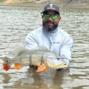 Profile photo of FelipeFerreira