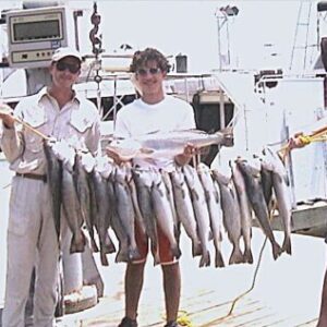 Profile photo of maturin